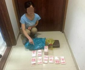 保姆盜走雇主18萬現金，法網恢恢終落網
